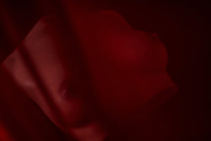 Seno (s) torso muñeca sexual (Climax Doll PRO B-CUP Silicona)