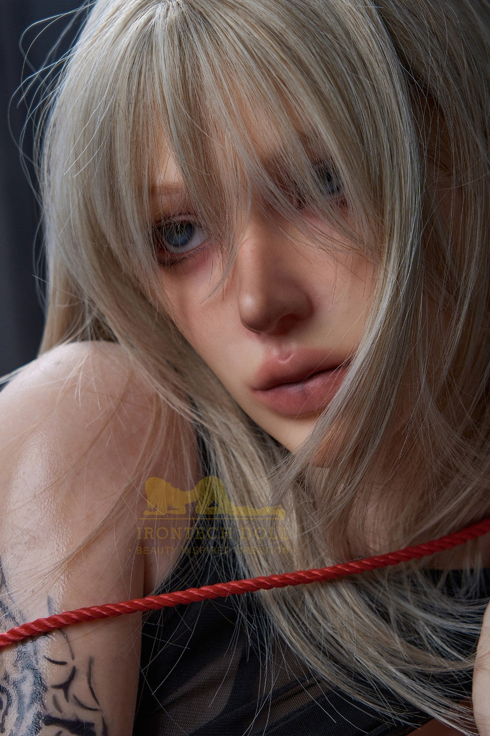 Muralla exterior muñeca sexual (Irontech Doll 161 cm B-Copa B1 Silicona)