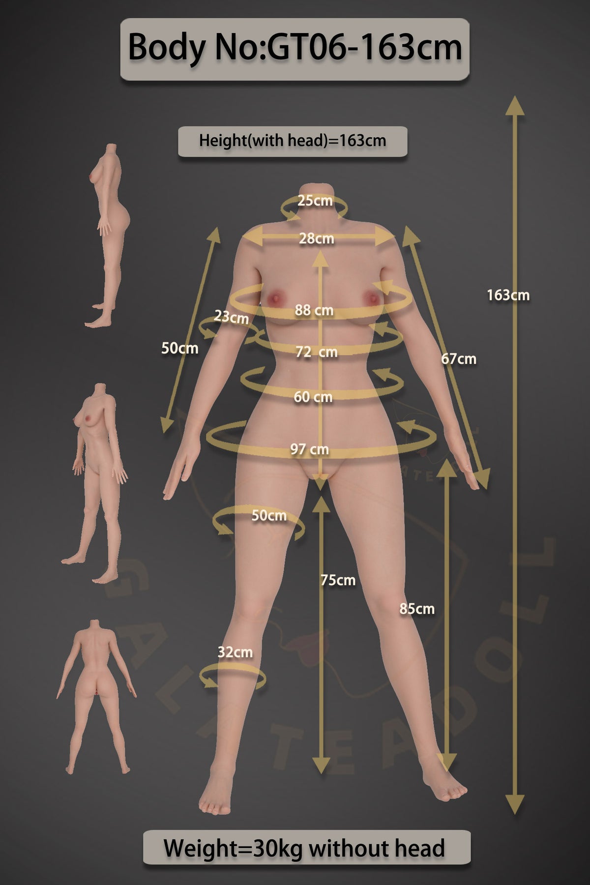 Samira Sex doll (Galatea Doll 163cm D-cup #198 silicone)