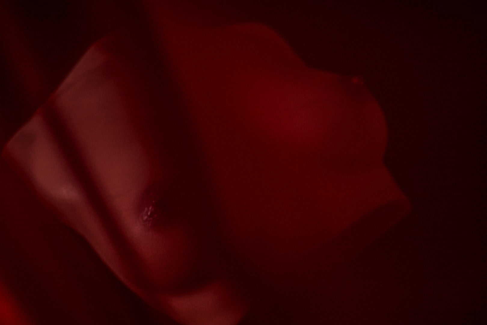 Breasts (s) torso Sex doll (Climax Doll PRO B-cup silicone)
