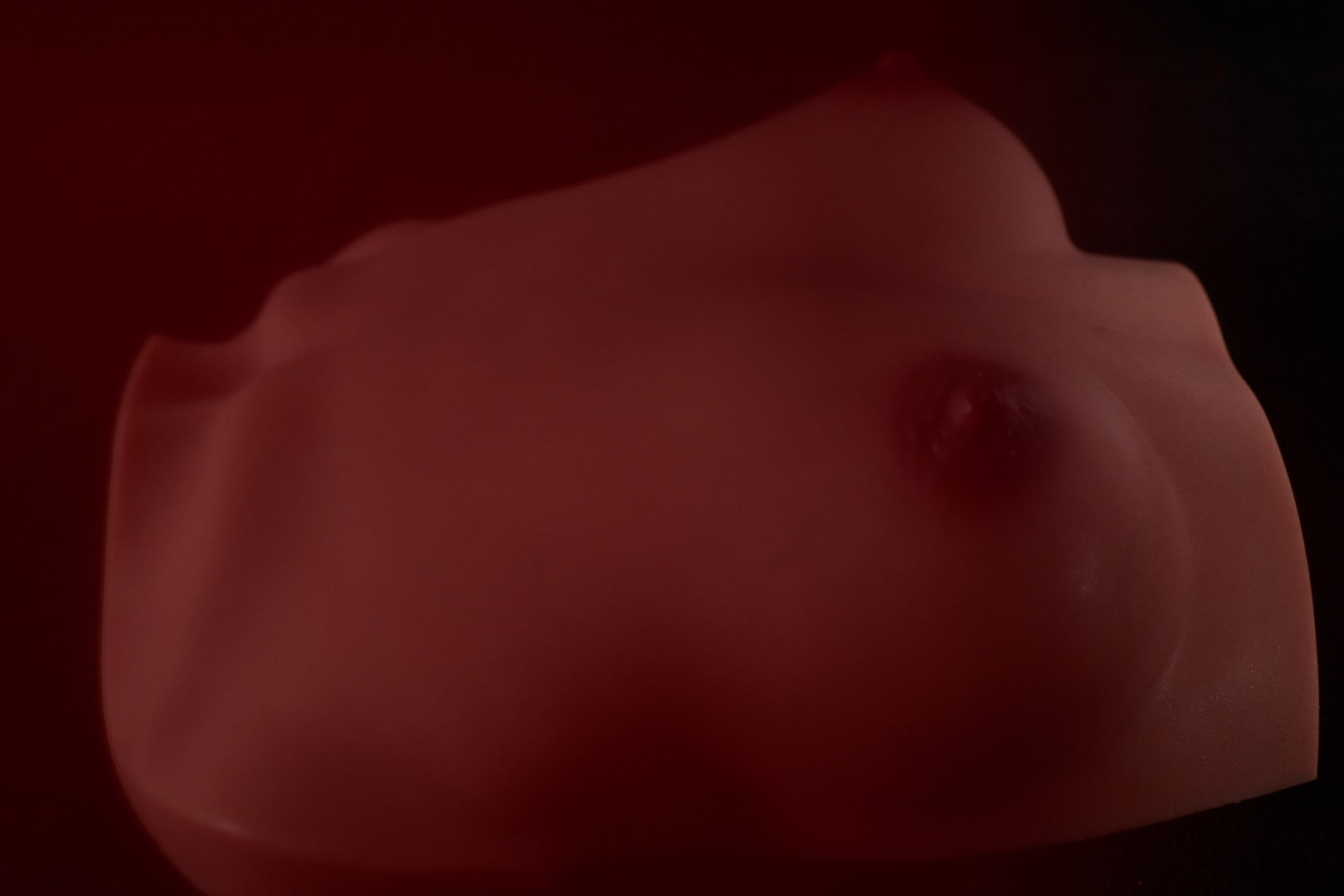 Breasts (s) torso Sex doll (Climax Doll PRO B-cup silicone)