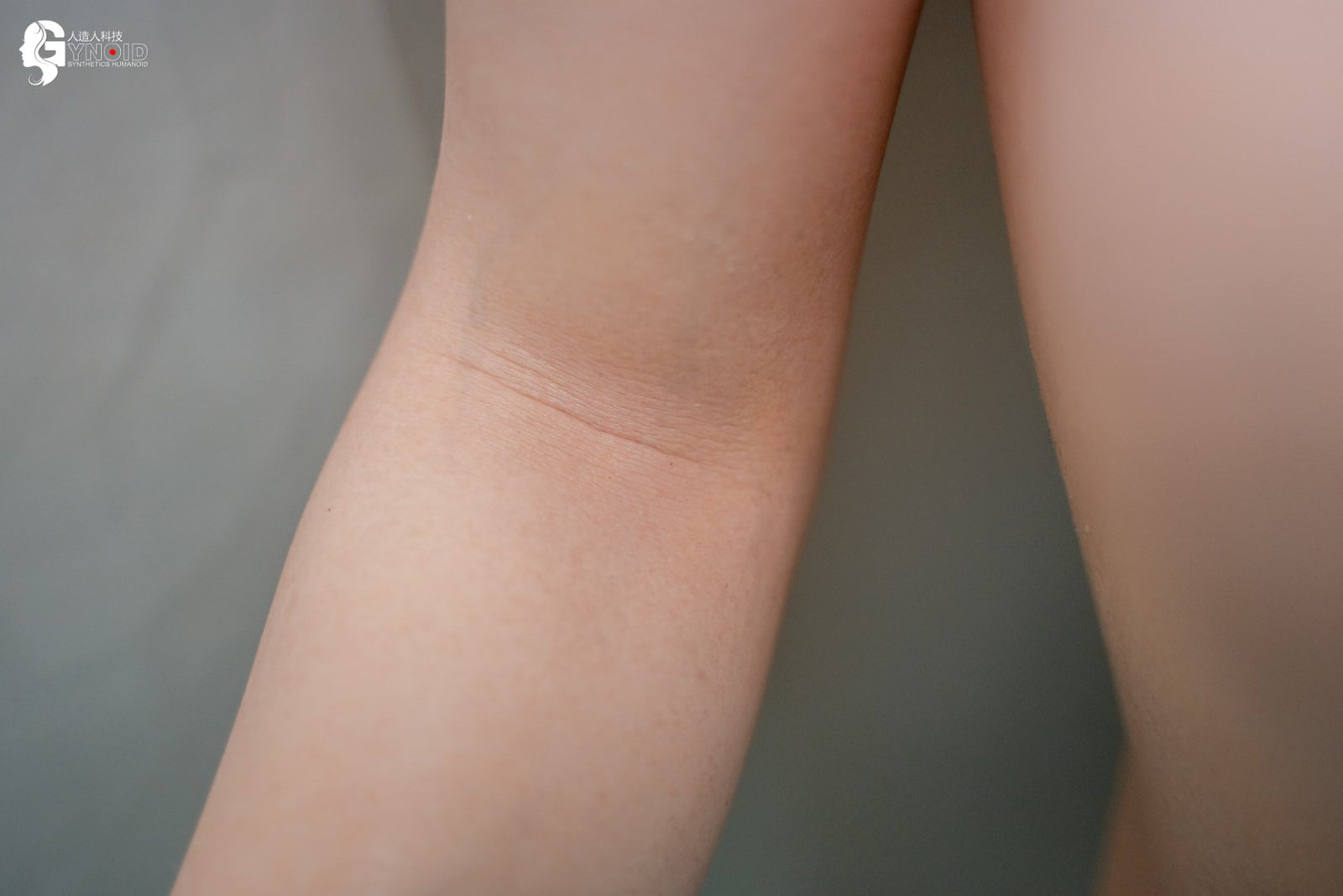 muñeca sexual Leyla Modelo 19R Deluxe (Gynoid Doll 168 cm Copa F de silicona)