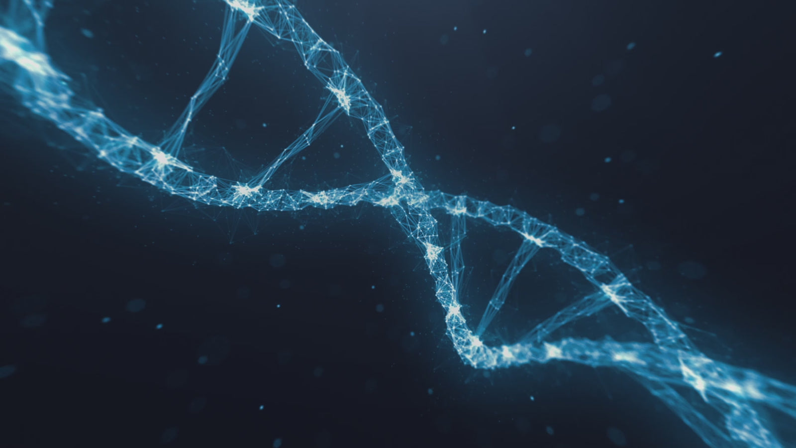 lidia muñeca sexual (XT Doll Copa D de 150 cm #XT-bym13 Silicona)