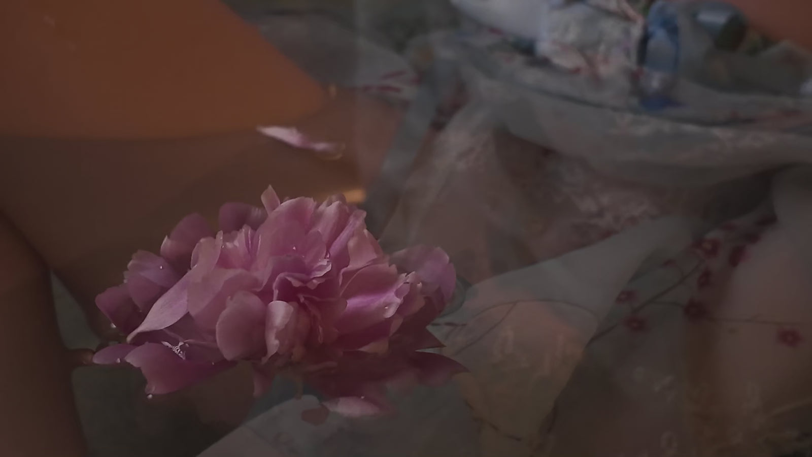 Noé muñeca sexual (TOP CYDOLL 157 cm copa D TPE+silicona)