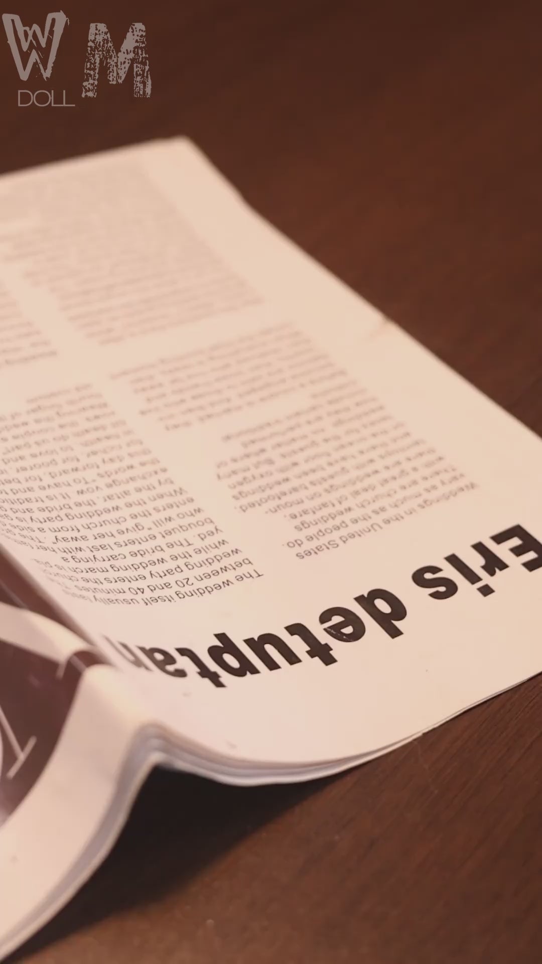 malou muñeca sexual (WM-Doll Copa E de 162 cm #335 TPE)