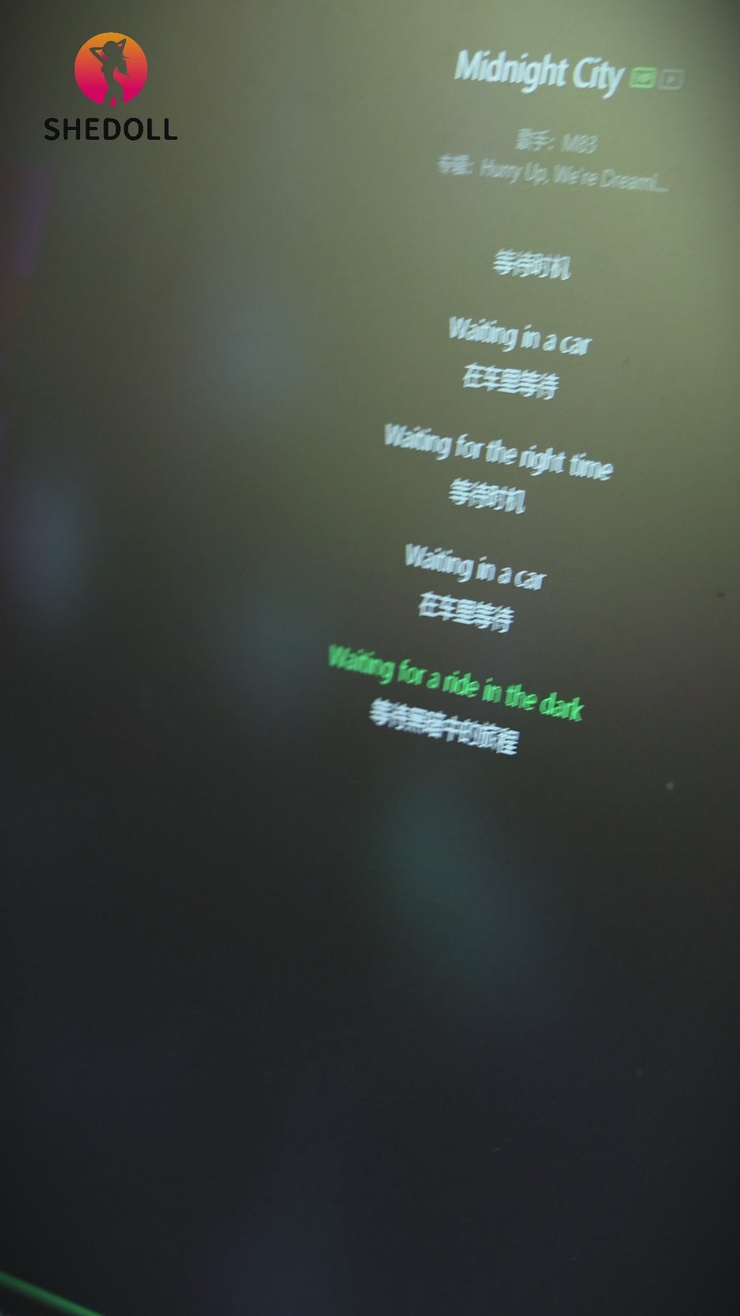 kosame muñeca sexual (SHEDOLL Copa E de 170 cm #SH146 2.0 TPE+Silicona)