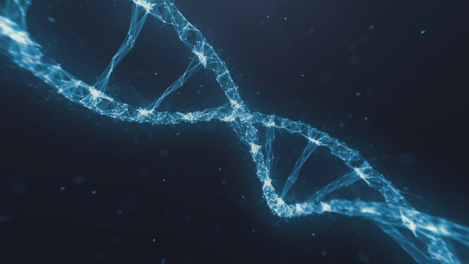 Ofelia muñeca sexual (XT Doll Copa G de 162 cm #XT-28-B Silicona)