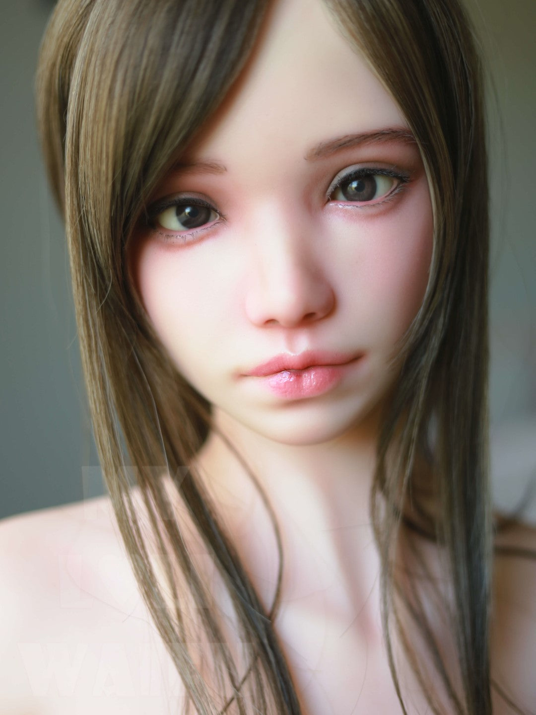 Tina muñeca sexual (My Loli Waifu 148 cm B-CUP #75 TPE+Silicona)