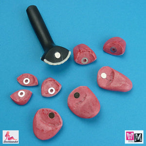 Sets de dientes y lenguas (WM-Doll)